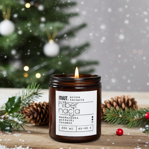 Świeca aromaterapeutyczna HIBERNACJA 250g